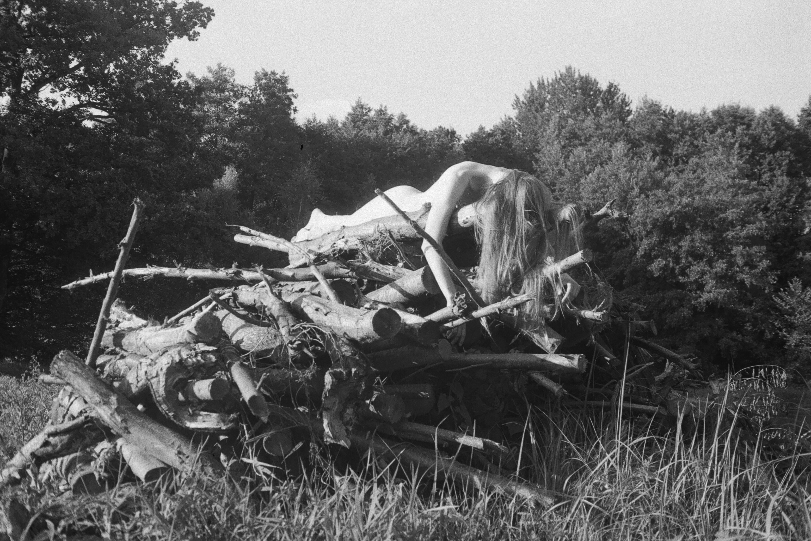 Main — photograph 3