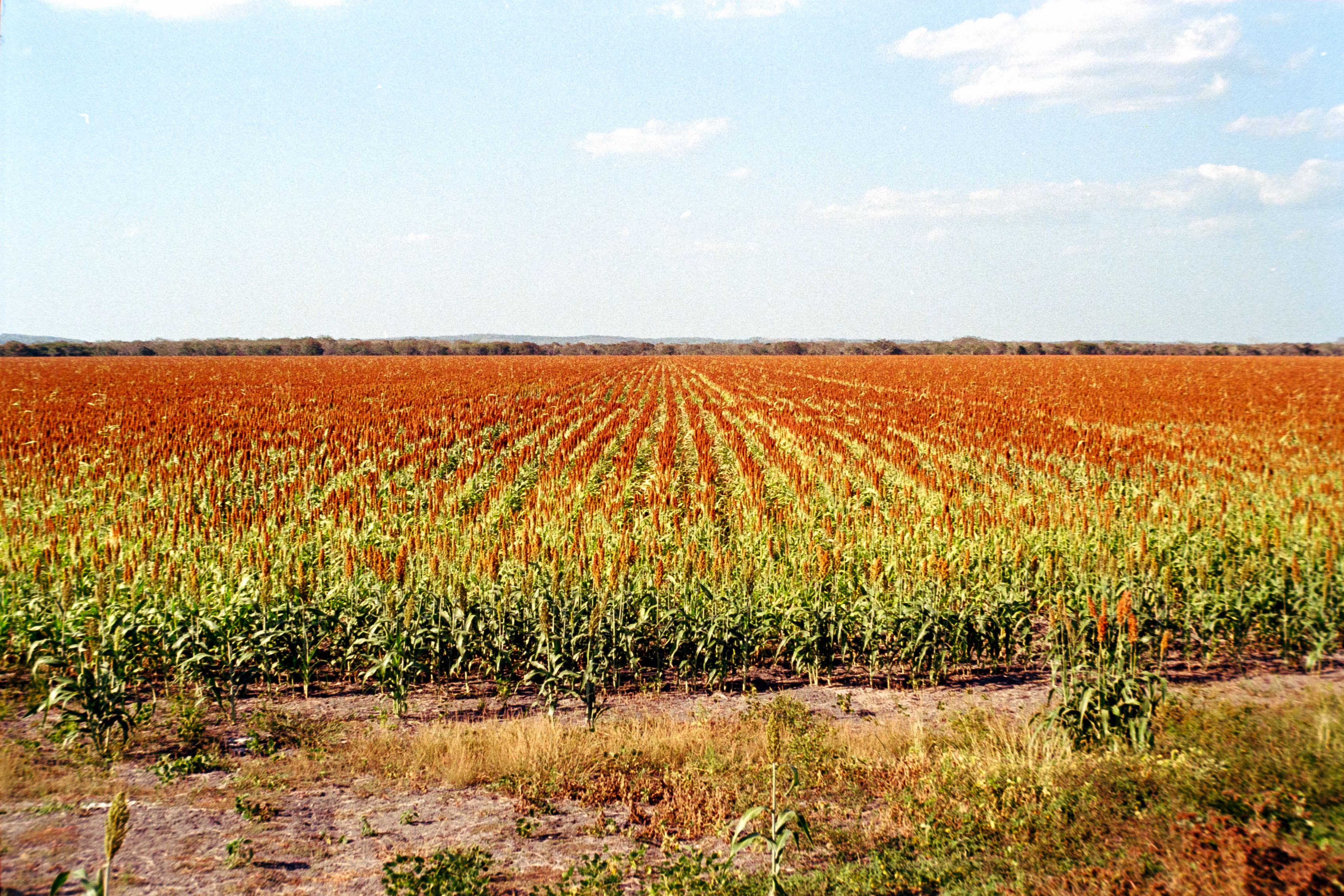Places — photograph 10