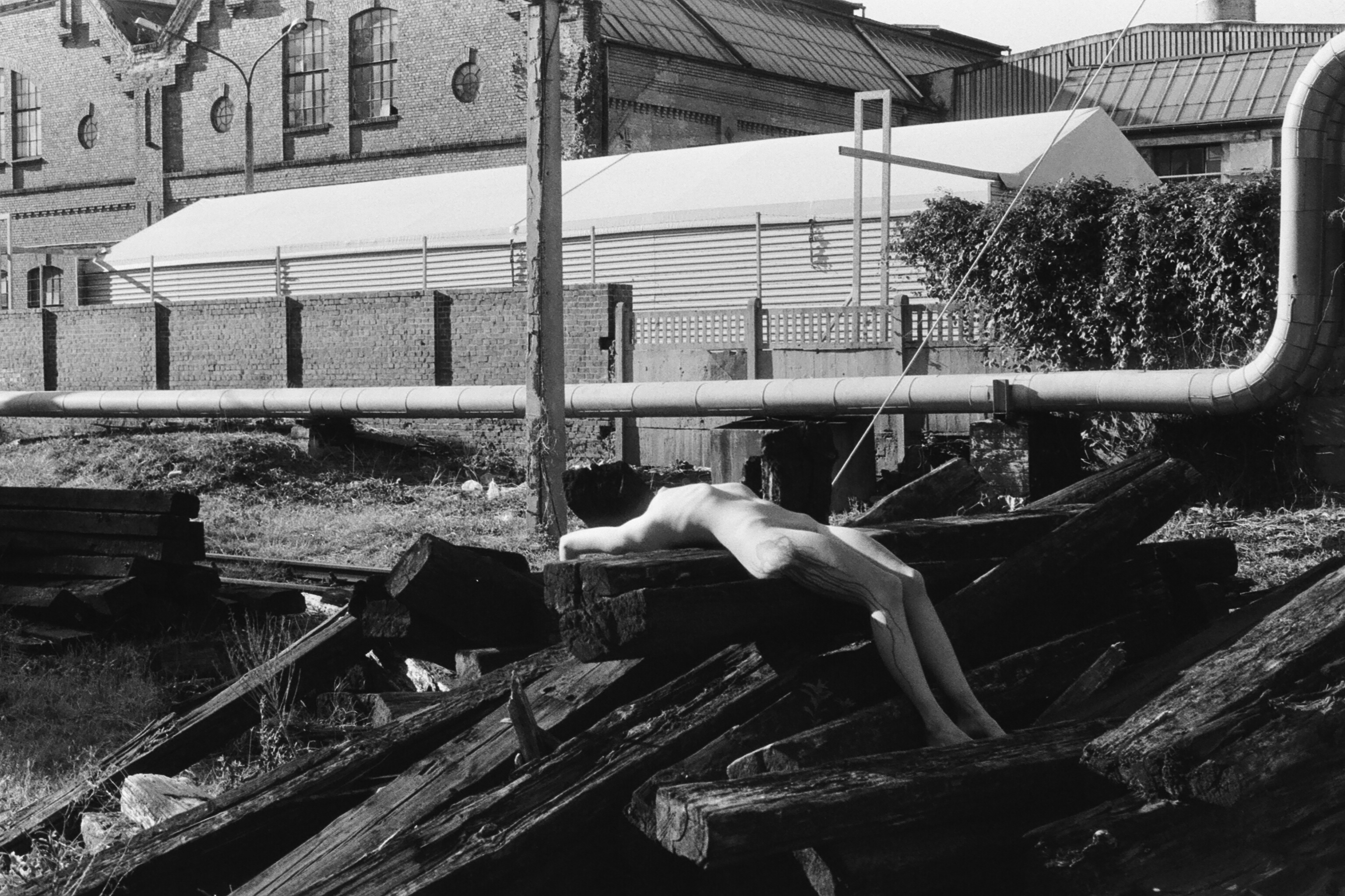 Reunite — photograph 4