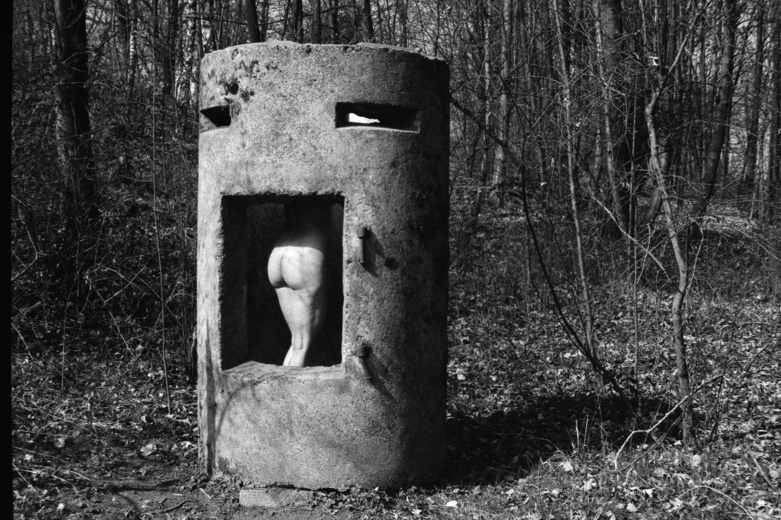 Reunite — photograph 6